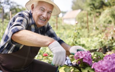 6 Summer Activity Options for the Aging Adult